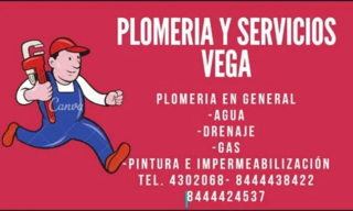 Plomeros economicos Saltillo