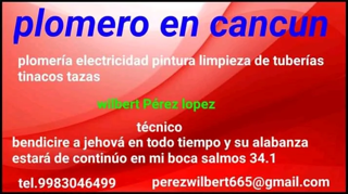 Plomeros locales Cancun